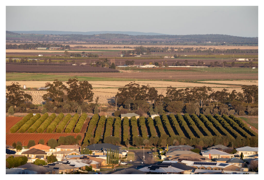 Griffith Barristers » Griffith Barristers